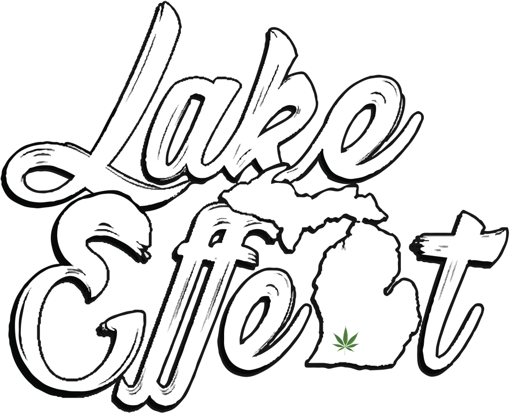 Lake Effect Michigan www.lakeeffected.com